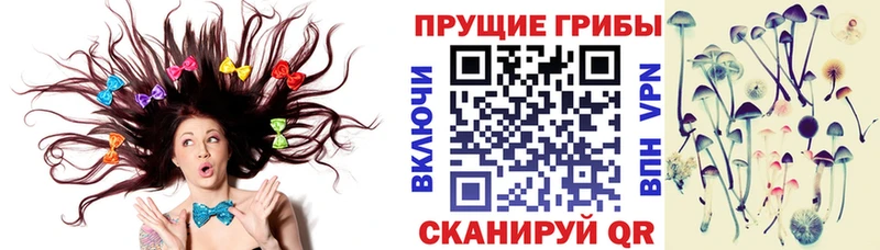 кракен зеркало  Татарск  Псилоцибиновые грибы GOLDEN TEACHER 